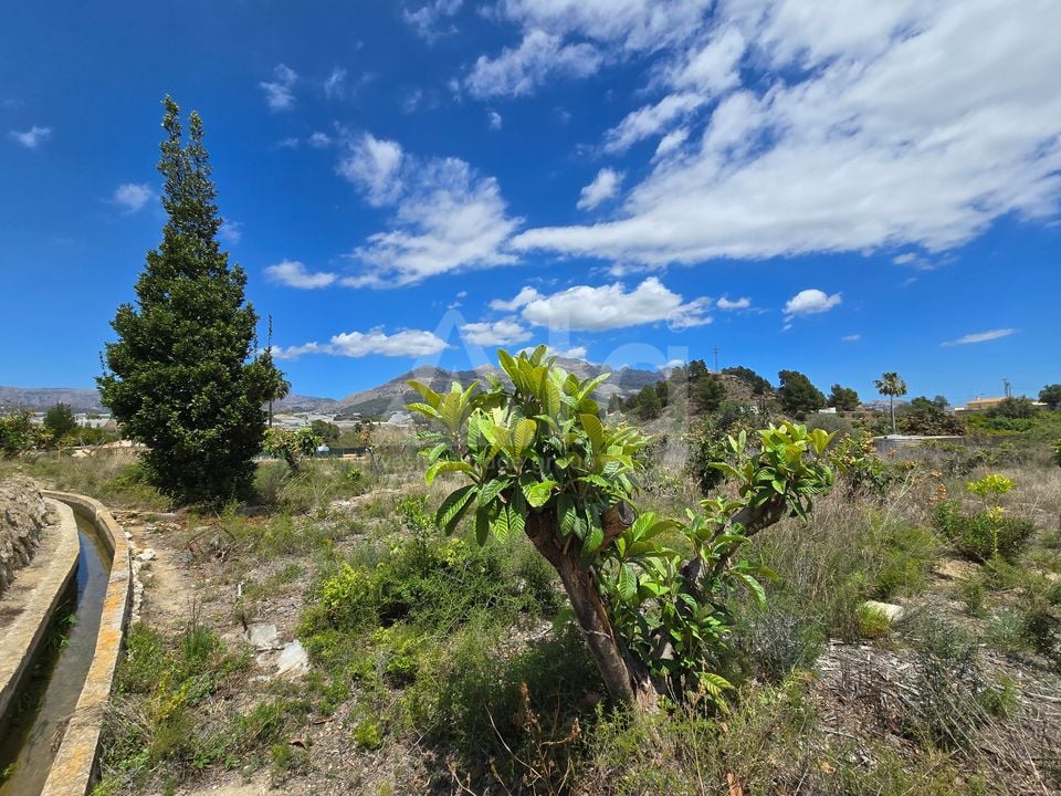  Plot in La Nucia- PX57502 - Photo - 19