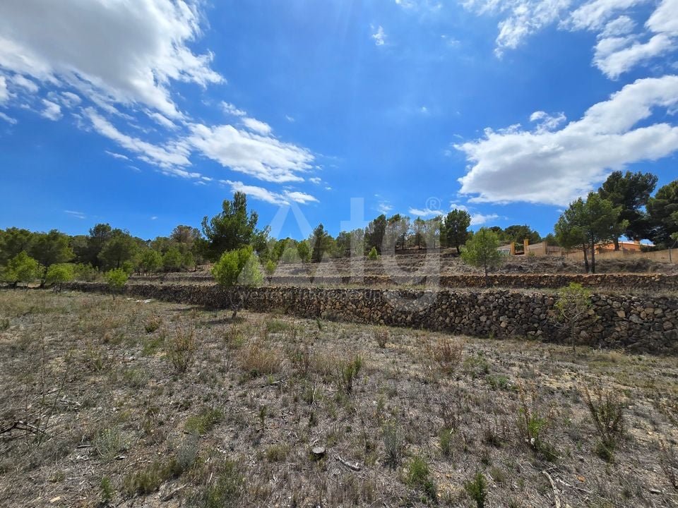 Plot in La Nucia- PX57502 - Photo - 20