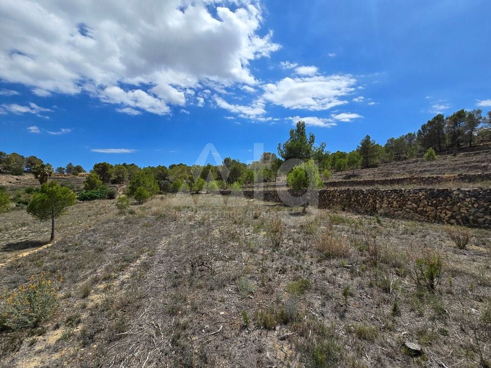  Plot in La Nucia- PX57502 - Photo - 21