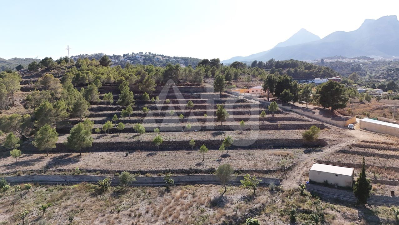  Plot in La Nucia- PX57502 - Photo - 2