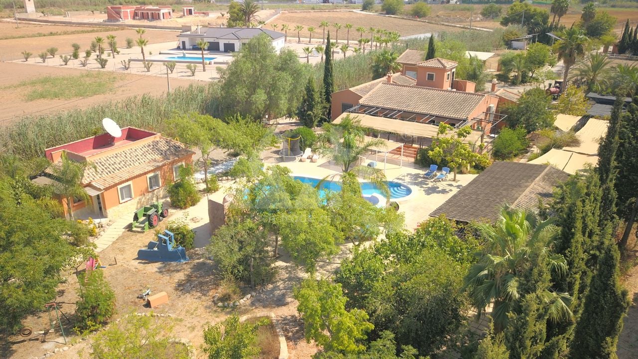 7 bedroom Villa in Catral - VRE29927 - Photo - 50