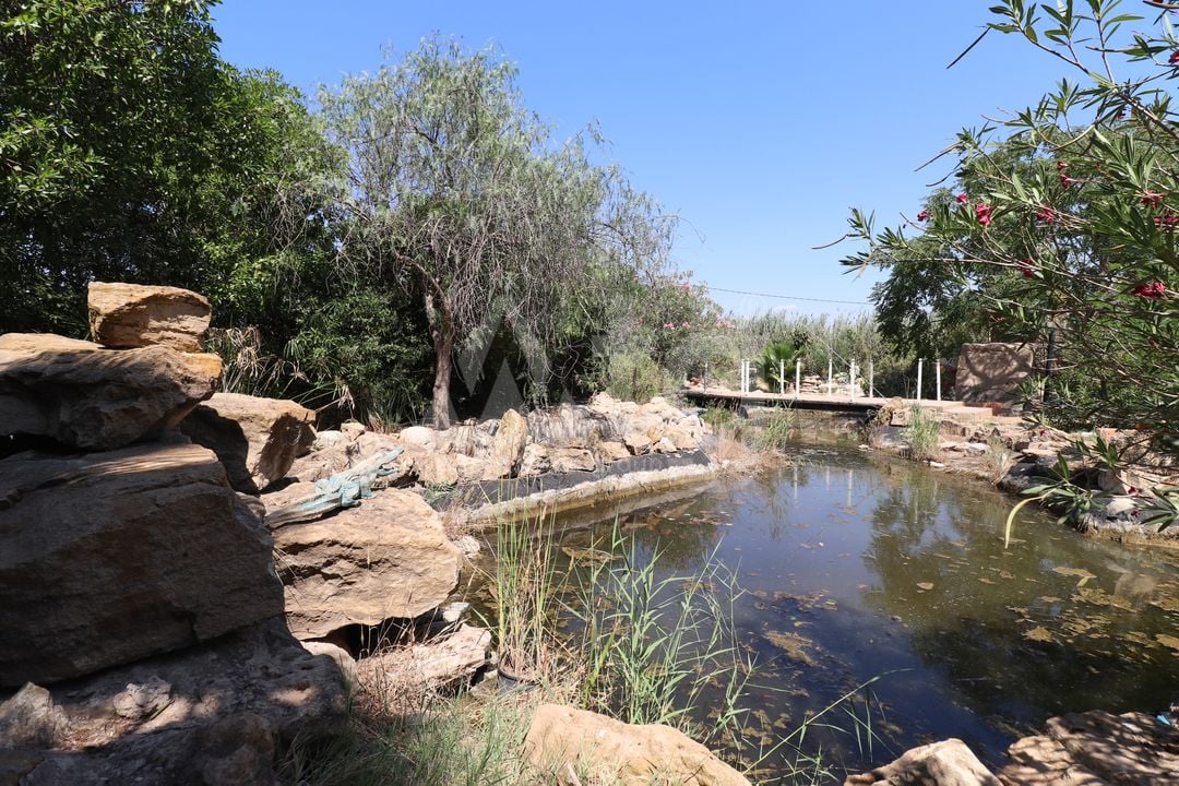 7 bedroom Villa in Catral - VRE29927 - Photo - 42