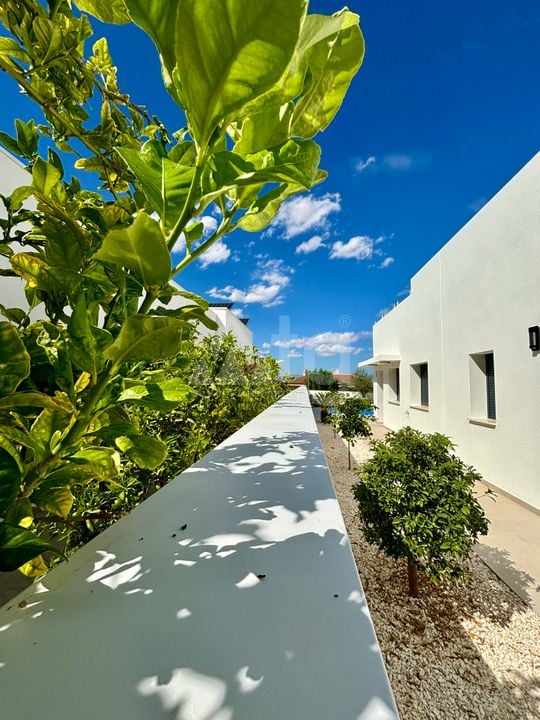 Villa de 3 chambres à Benijófar - BEV128905 - Photo - 22