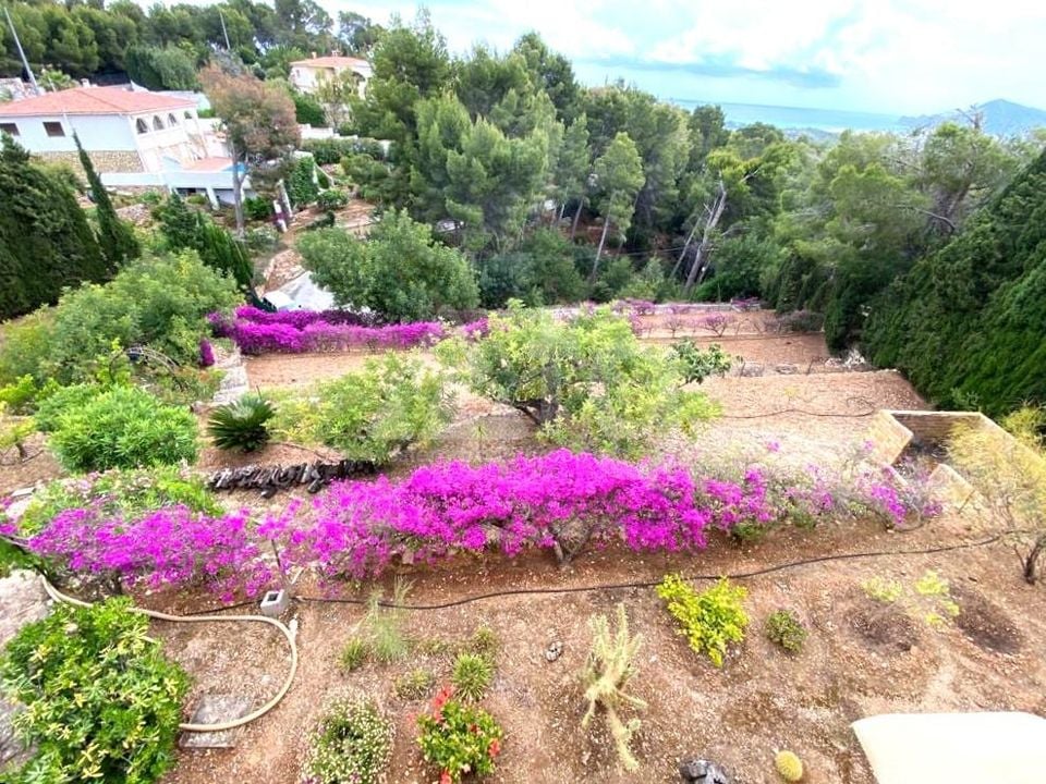 Villa de 7 chambres à Altea - CGN40530 - Photo - 42