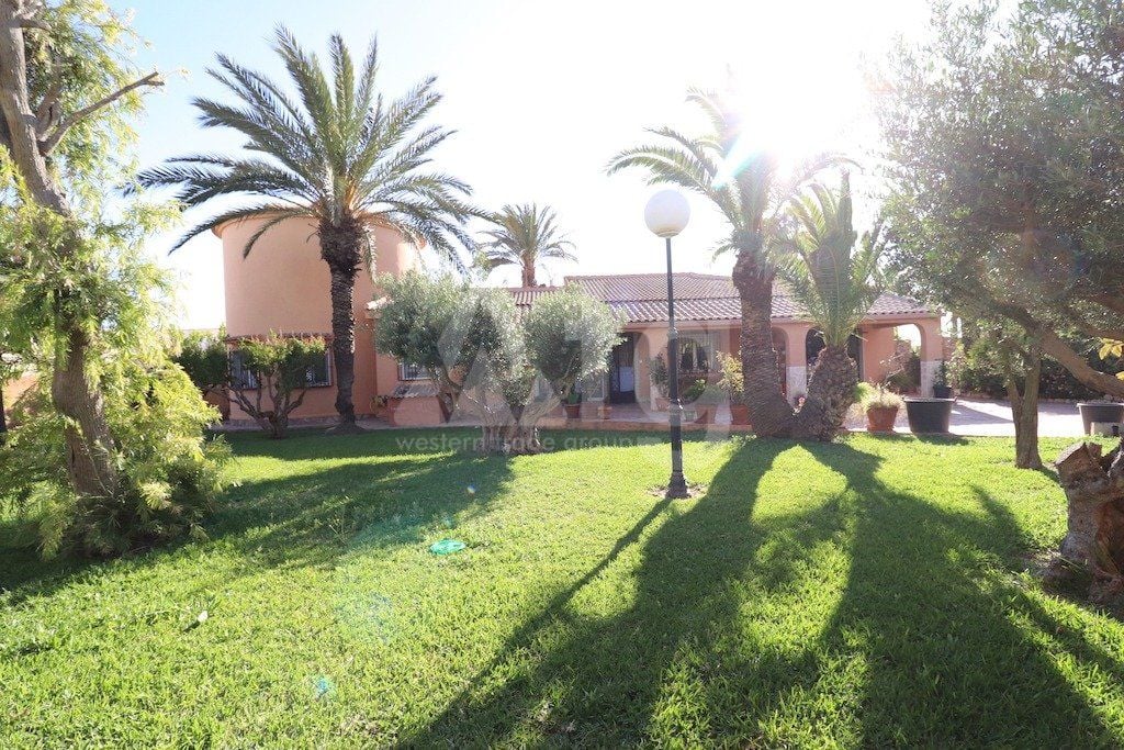 5 bedroom Villa in Torrevieja - CRR41231 - Photo - 39