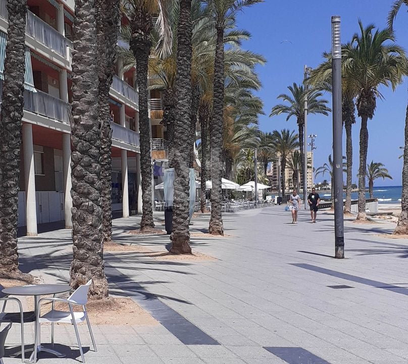 Villa de 4 chambres à Torrevieja - CBC20118 - Photo - 18