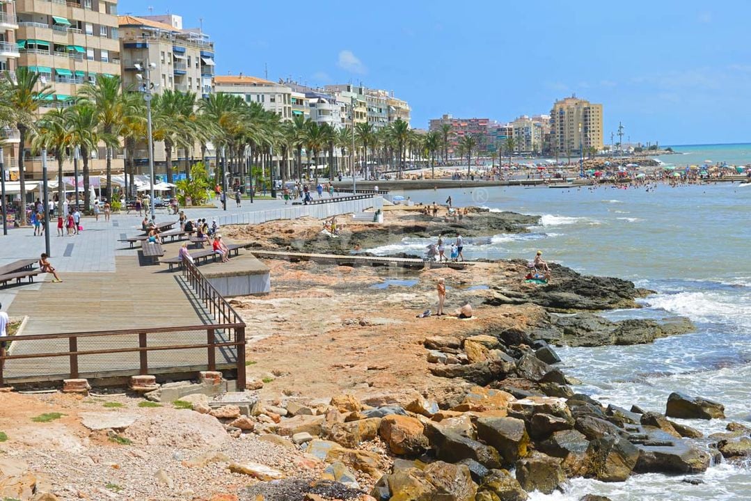 Villa de 4 chambres à Torrevieja - CBC20118 - Photo - 19