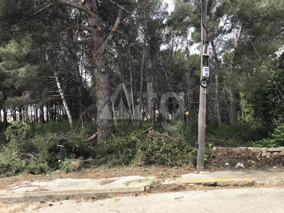  Grundstück in Xàbia- BES45407 - Foto - 3