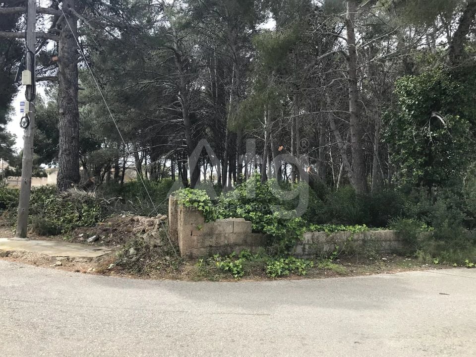  Grundstück in Xàbia- BES45407 - Foto - 2