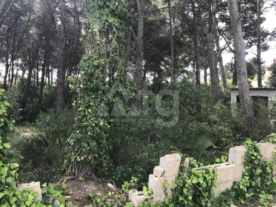  Grundstück in Xàbia- BES45407 - Foto - 6