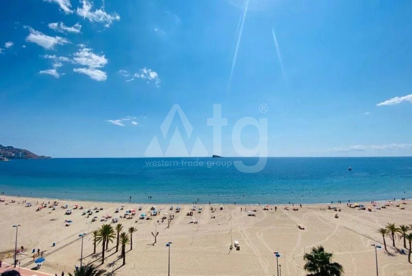 Appartement de 3 chambres à Benidorm - BES45410 - Photo - 29