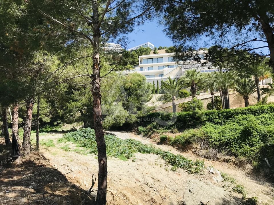  Grundstück in Xàbia- BES45411 - Foto - 3