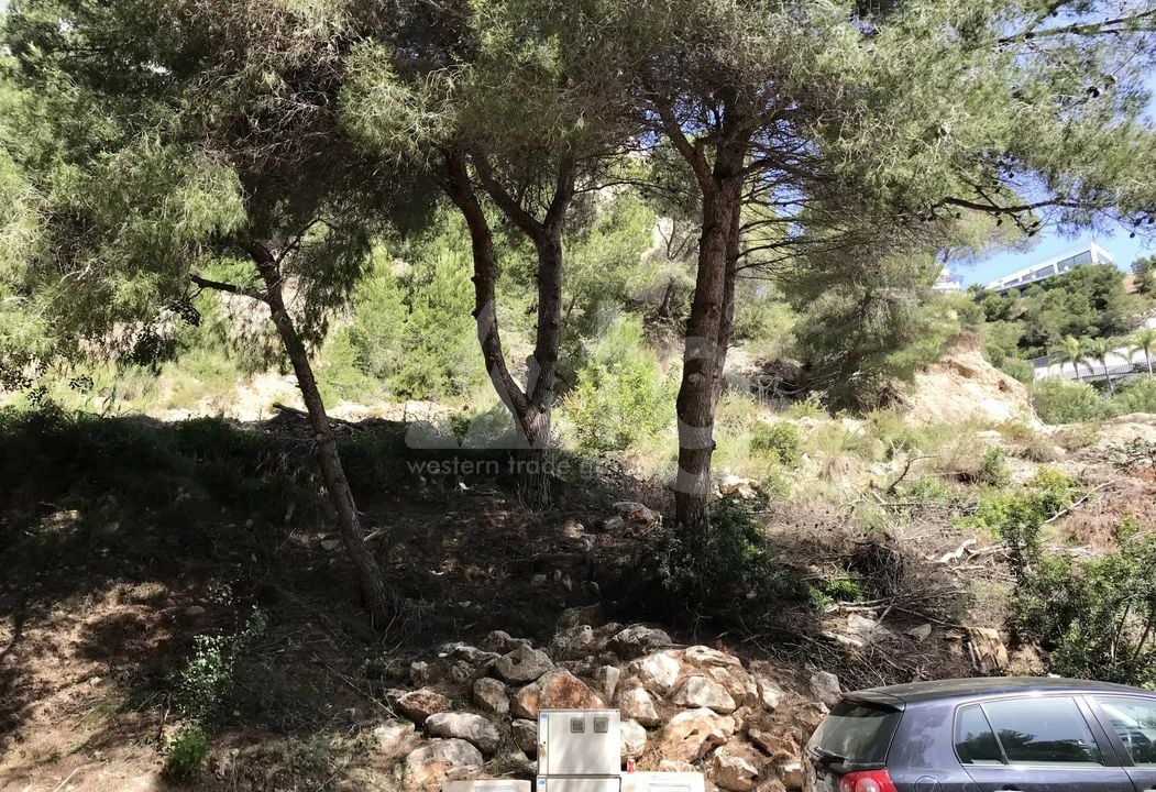  Grundstück in Xàbia- BES45411 - Foto - 7