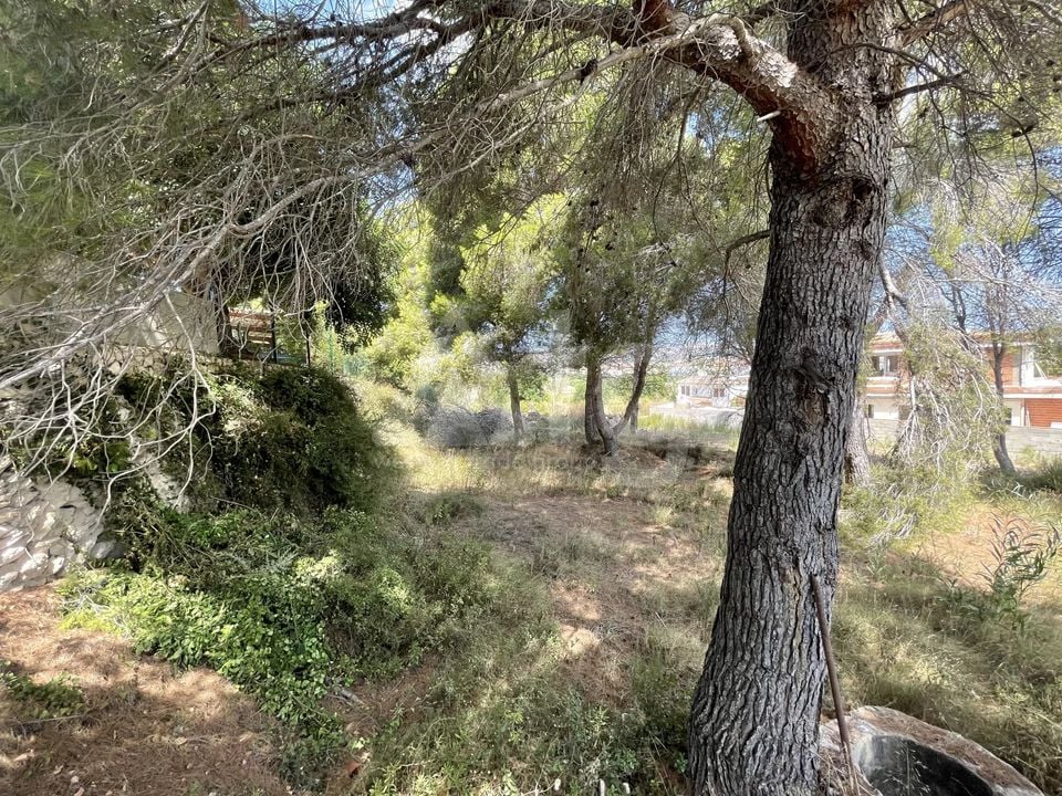 Parcela de  en Jávea- BES45413 - Foto - 5