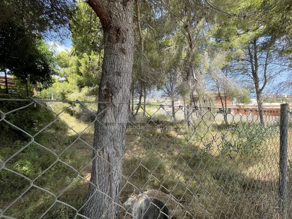 Parcela de  en Jávea- BES45413 - Foto - 3