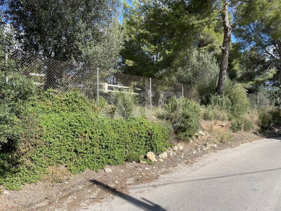  Grundstück in Xàbia- BES45416 - Foto - 1