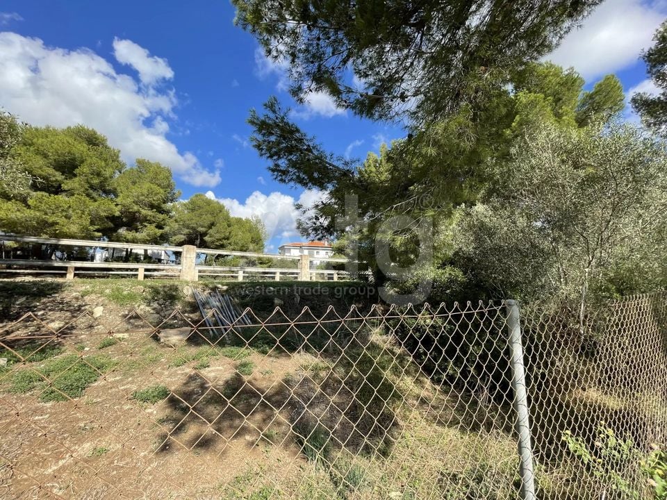  Grundstück in Xàbia- BES45416 - Foto - 3