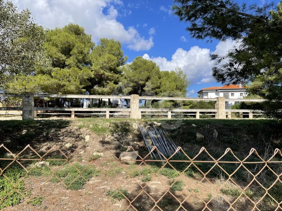  Grundstück in Xàbia- BES45416 - Foto - 4