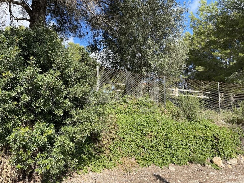  Grundstück in Xàbia- BES45416 - Foto - 5