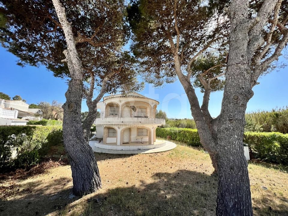 Villa de 6 chambres à Xàbia - BES45459 - Photo - 24