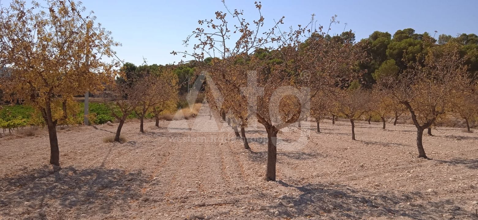  Pozemek v Pinoso- SIP54140 - Foto - 3