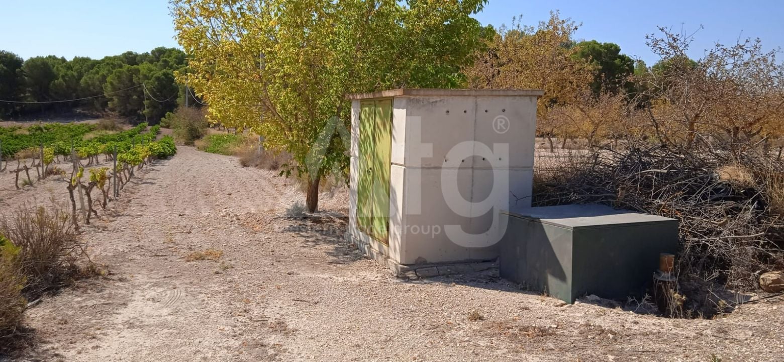 Pozemek v Pinoso- SIP54140 - Foto - 2