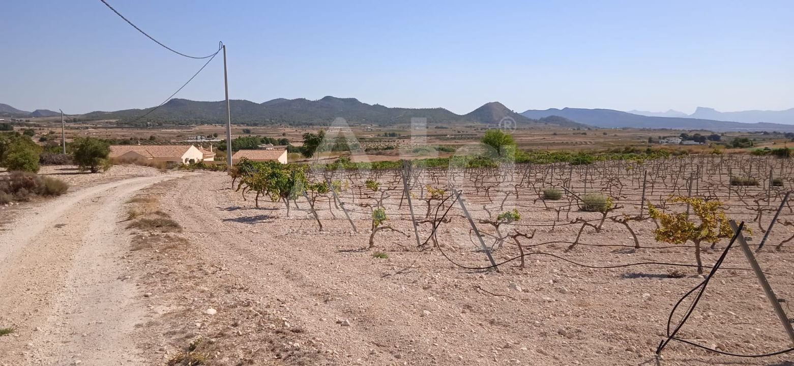  Pozemek v Pinoso- SIP54140 - Foto - 4