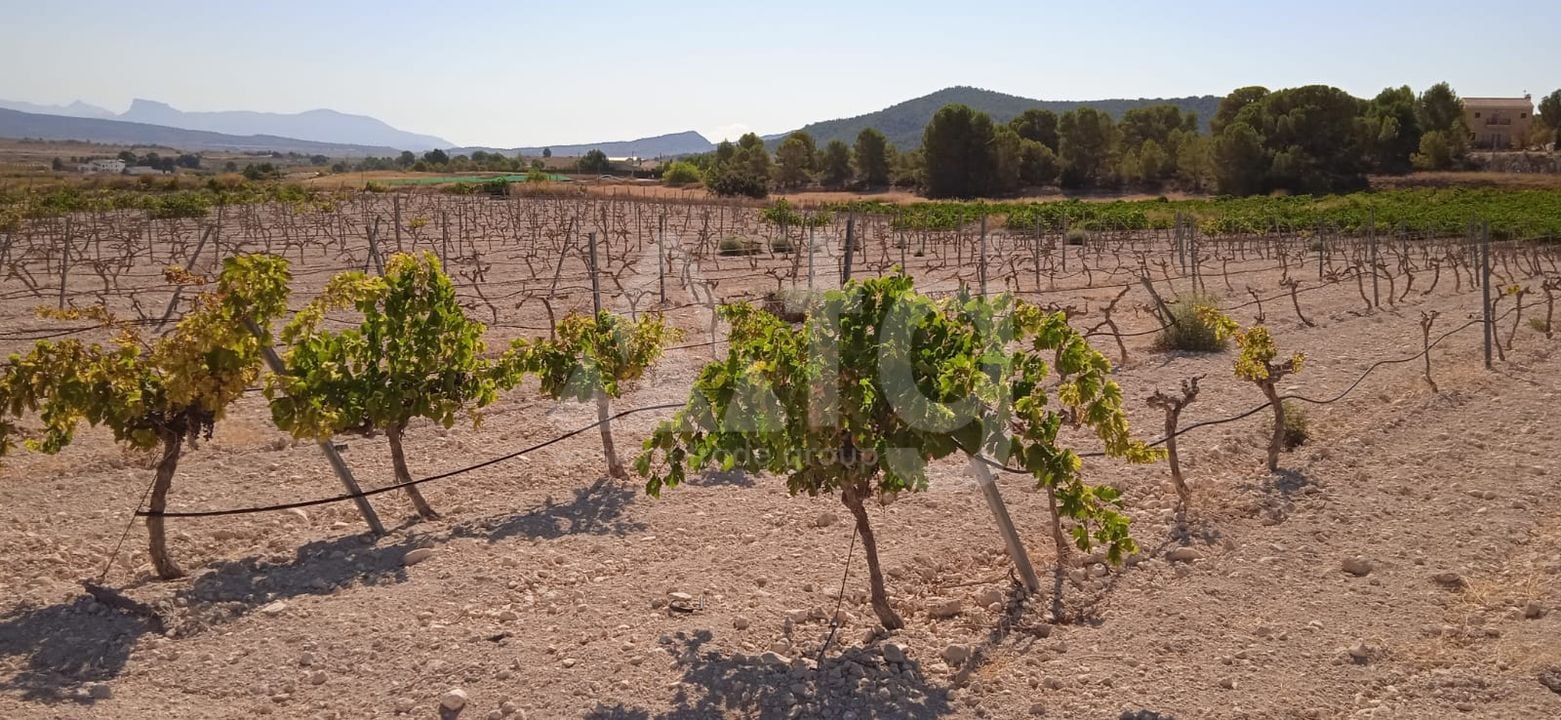  Pozemek v Pinoso- SIP54140 - Foto - 5
