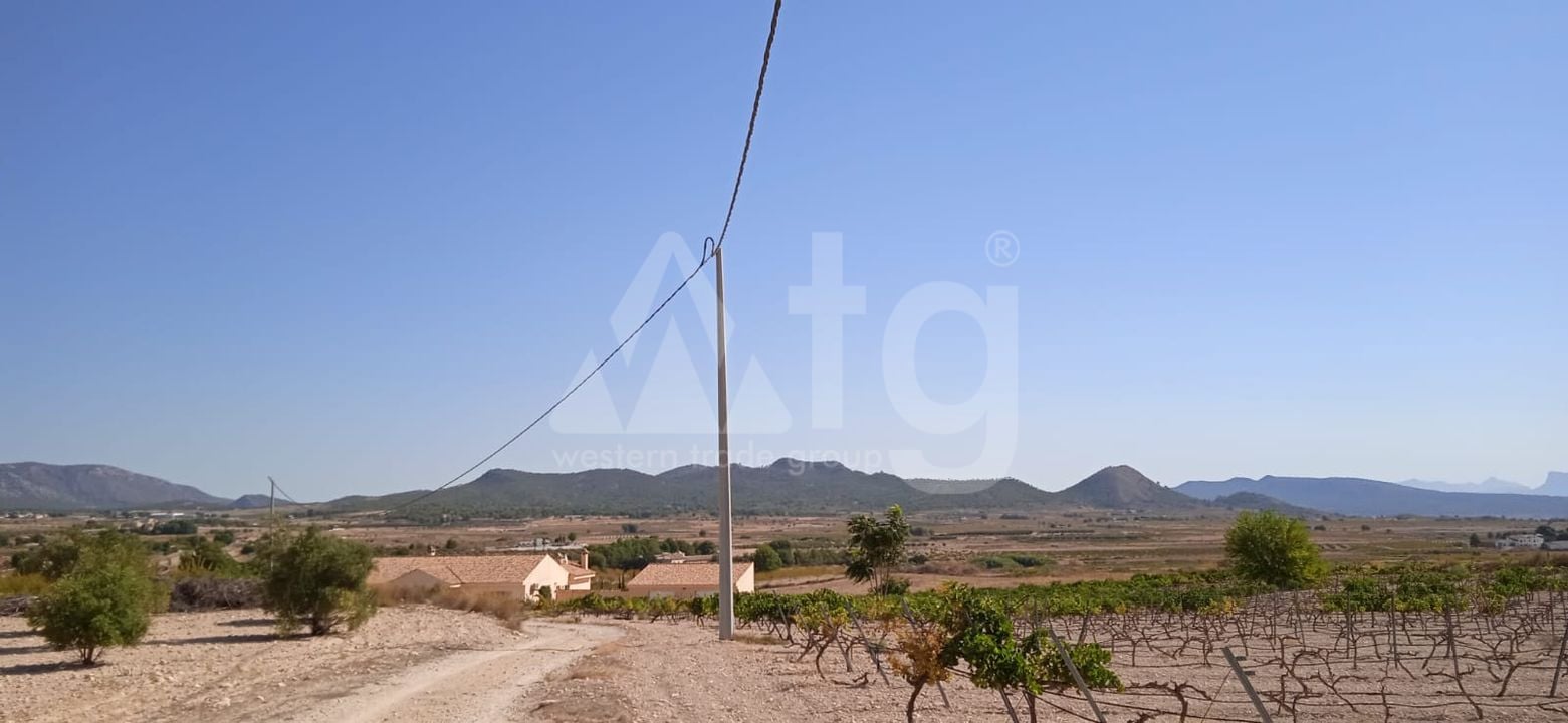  Pozemek v Pinoso- SIP54140 - Foto - 7