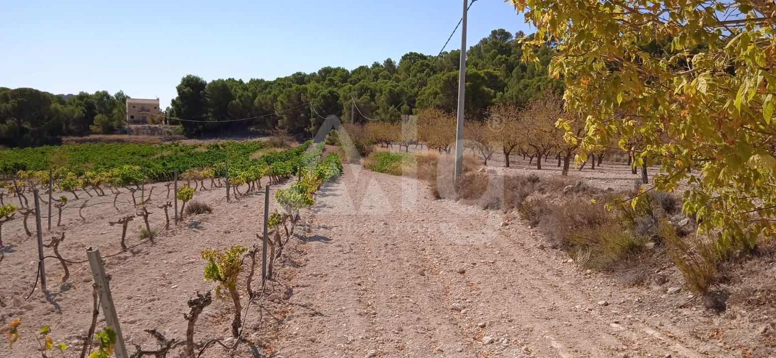  Pozemek v Pinoso- SIP54140 - Foto - 10