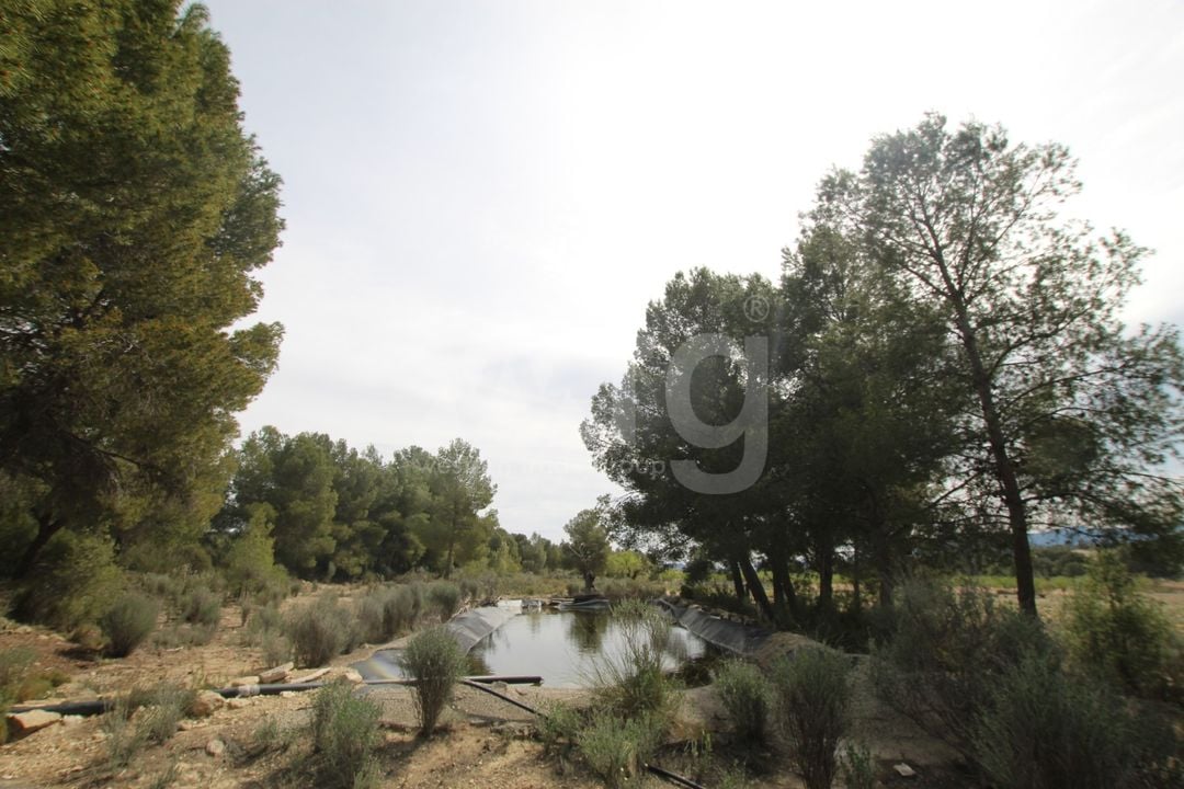 1 bedroom Villa in Monovar - SIP137483 - Photo - 11