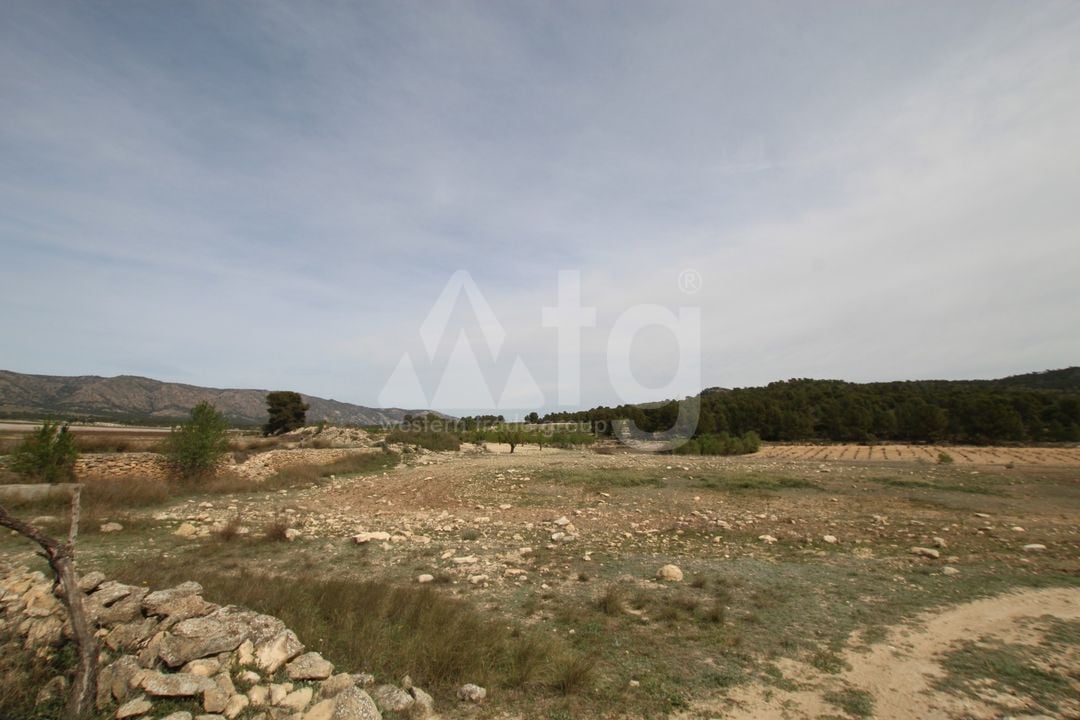 1 bedroom Villa in Monovar - SIP137483 - Photo - 10