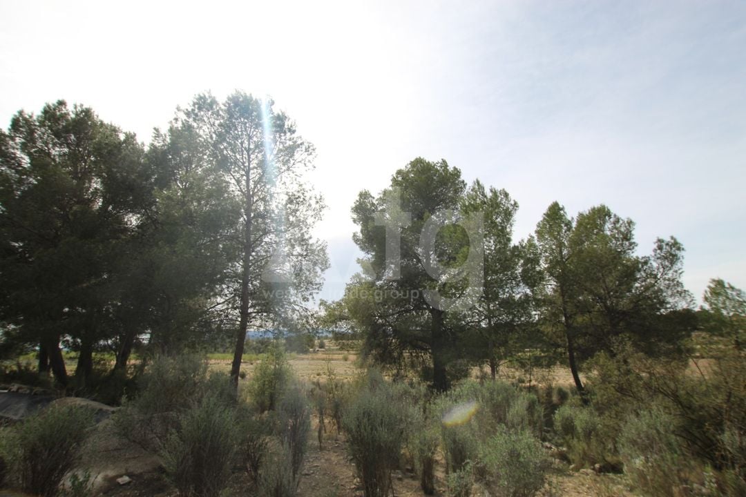1 bedroom Villa in Monovar - SIP137483 - Photo - 12