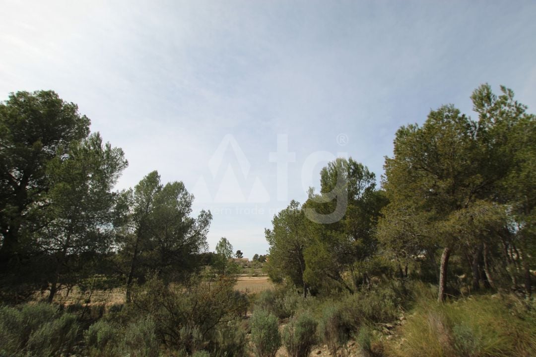 1 bedroom Villa in Monovar - SIP137483 - Photo - 13
