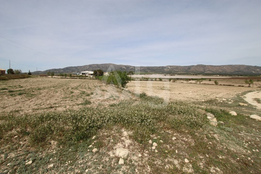 1 bedroom Villa in Monovar - SIP137483 - Photo - 9