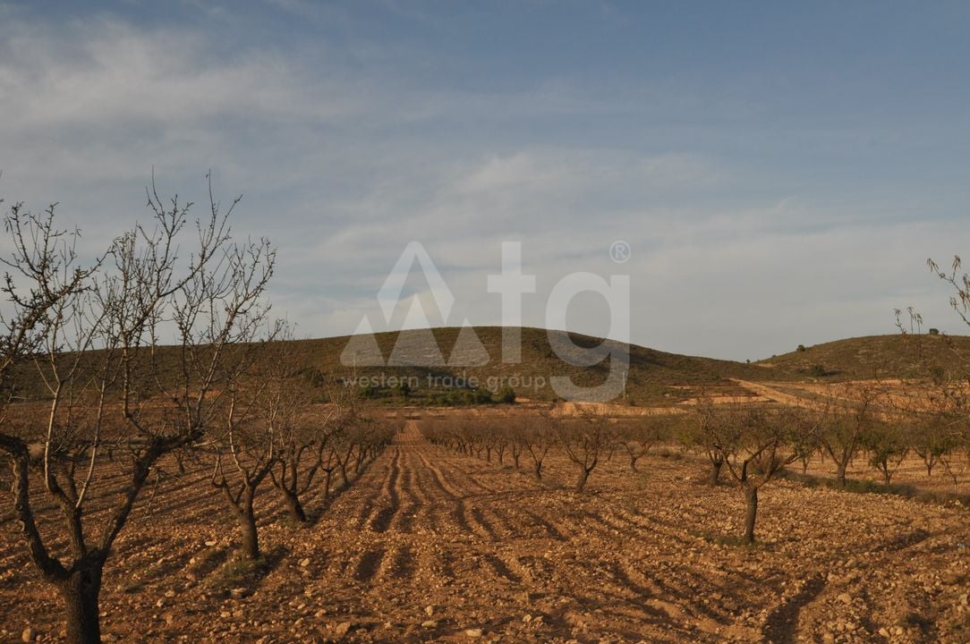  Pozemek v Abanilla- SIP81306 - Foto - 2