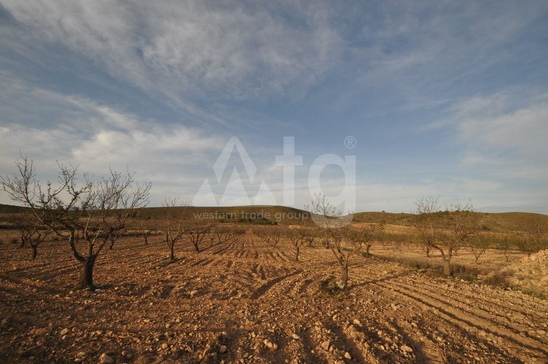  Pozemek v Abanilla- SIP81306 - Foto - 1