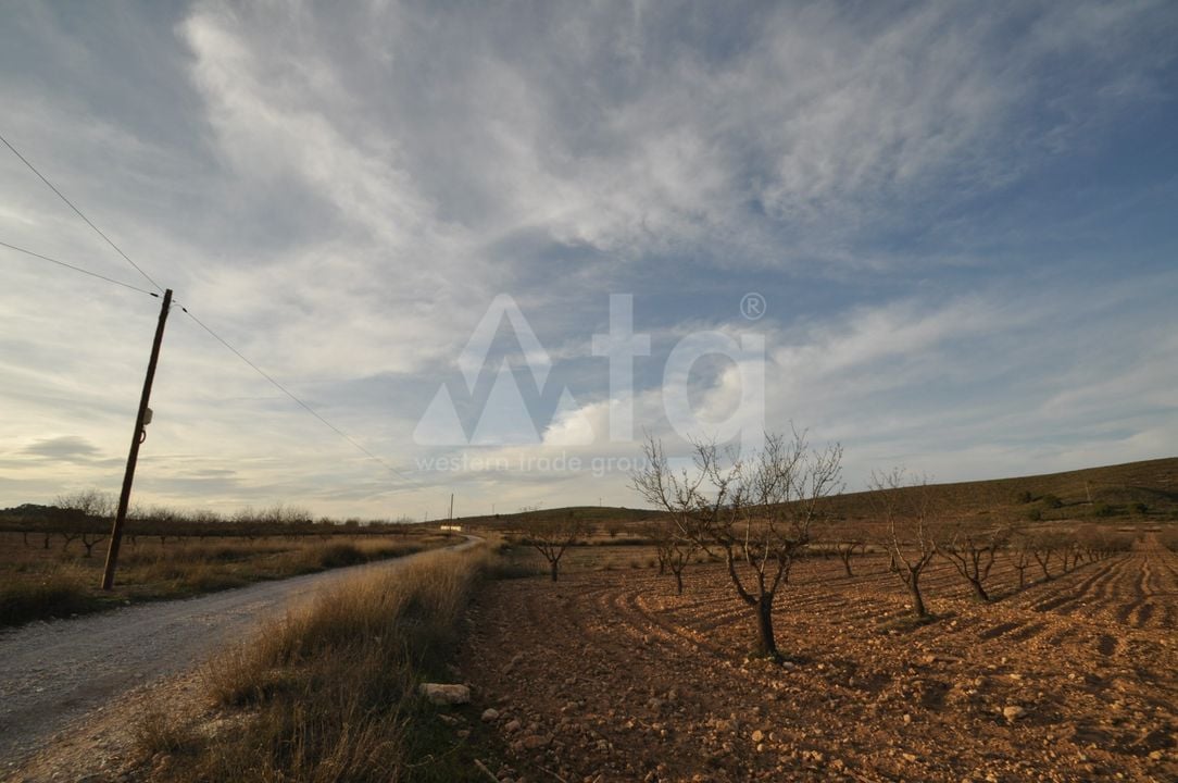  Pozemek v Abanilla- SIP81306 - Foto - 6