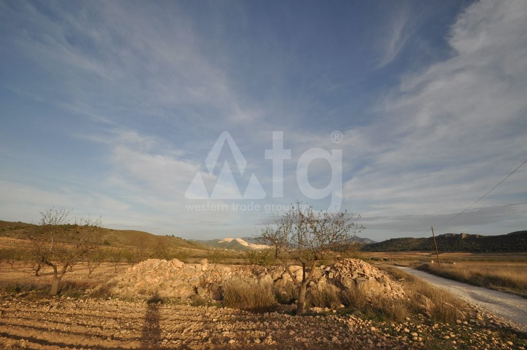  Pozemek v Abanilla- SIP81306 - Foto - 4