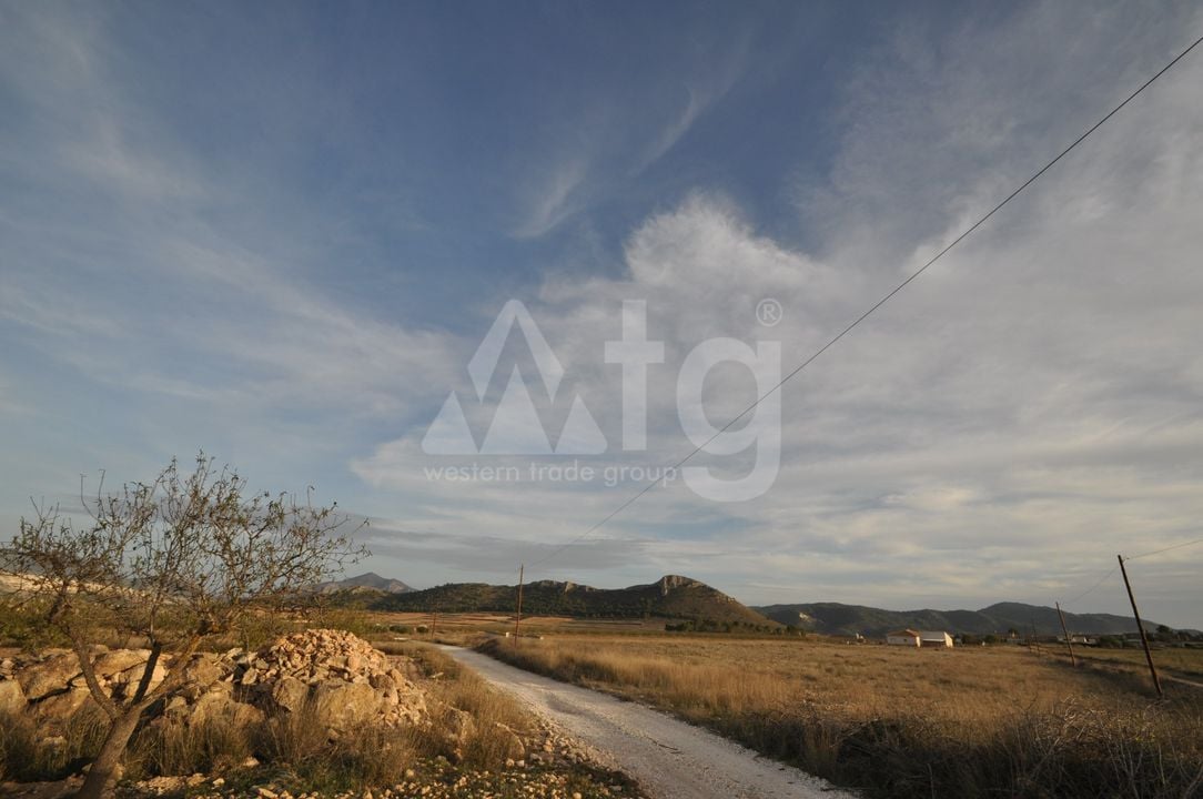  Pozemek v Abanilla- SIP81306 - Foto - 5