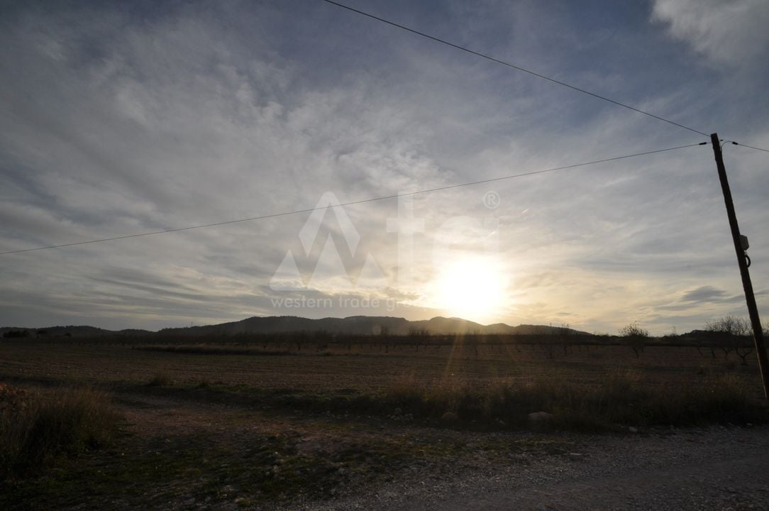  Pozemek v Abanilla- SIP81306 - Foto - 7