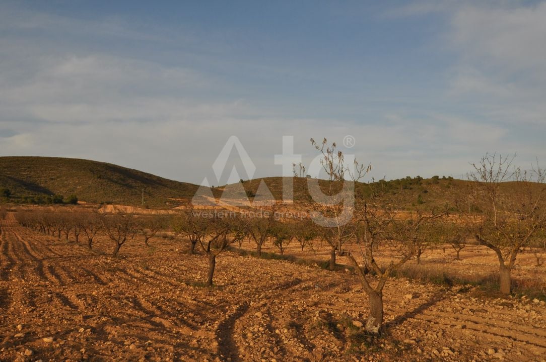  Pozemek v Abanilla- SIP81306 - Foto - 3