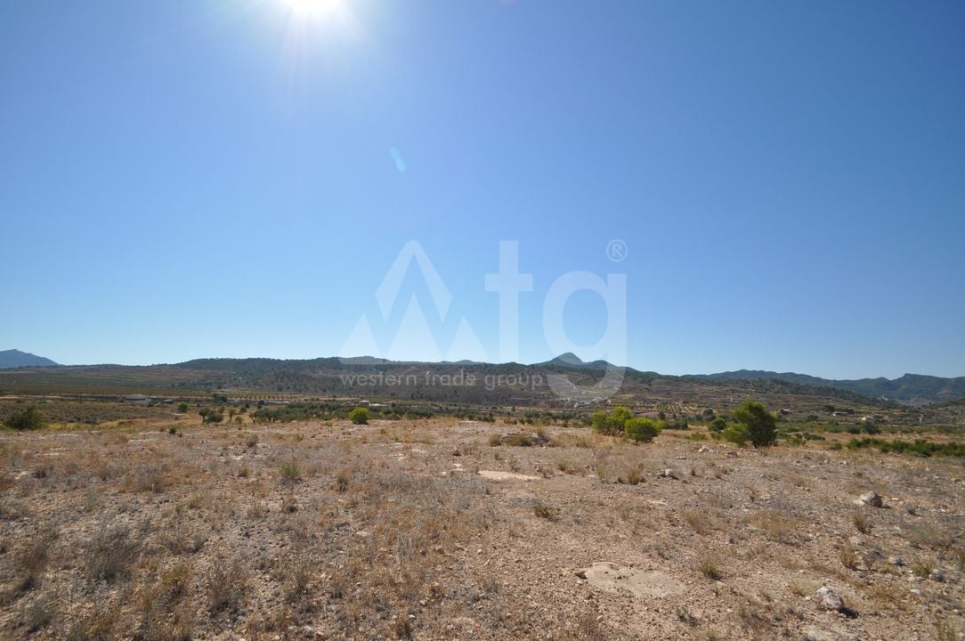 Terrain de  à Murcia- SIP150397 - Photo - 19