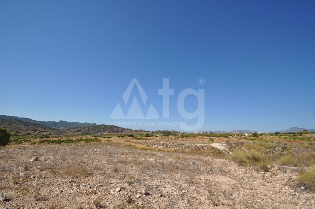 Terrain de  à Murcia- SIP150397 - Photo - 18