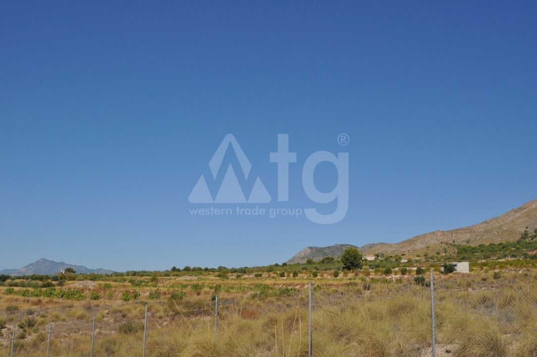 Terrain de  à Murcia- SIP150397 - Photo - 11