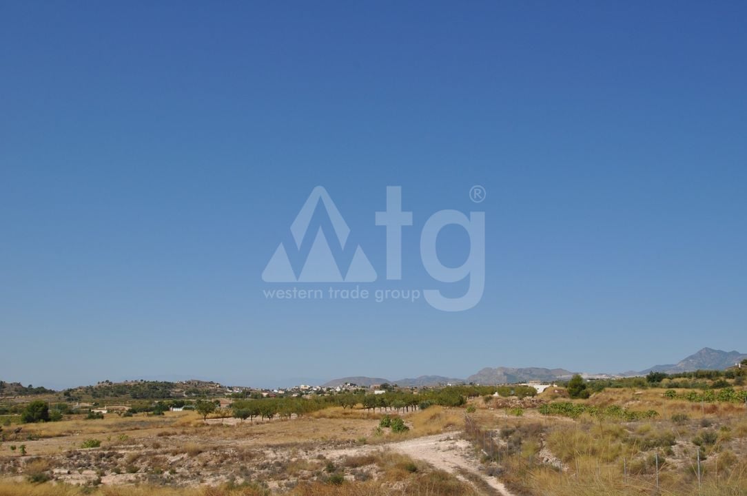 Terrain de  à Murcia- SIP150397 - Photo - 12