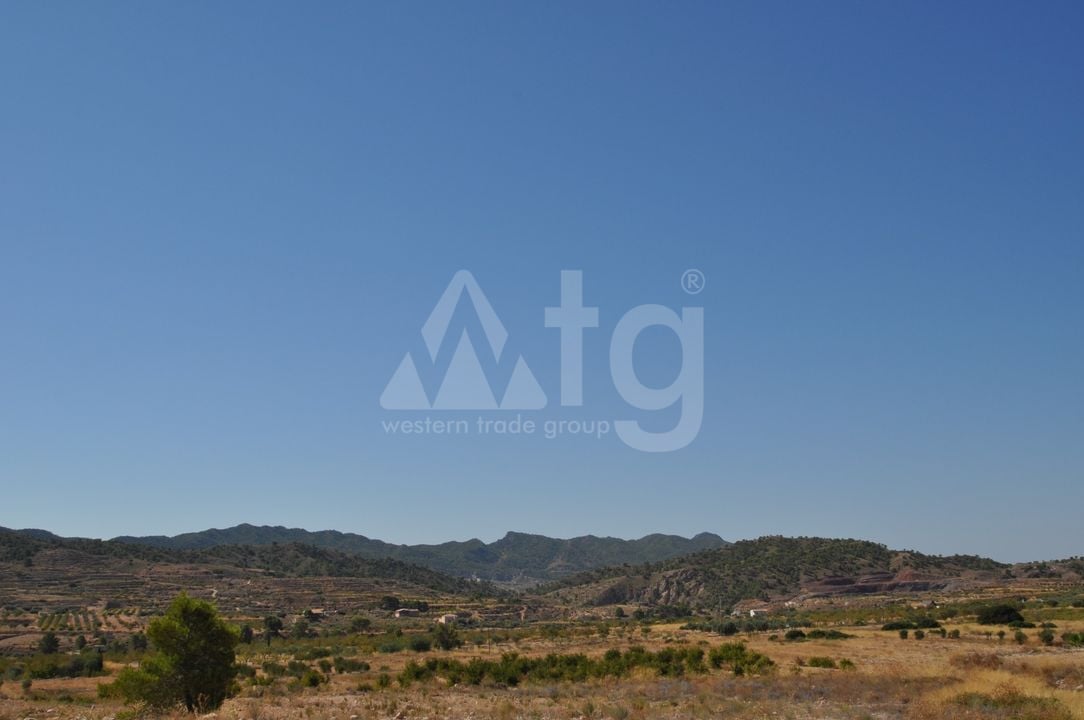 Terrain de  à Murcia- SIP150397 - Photo - 13