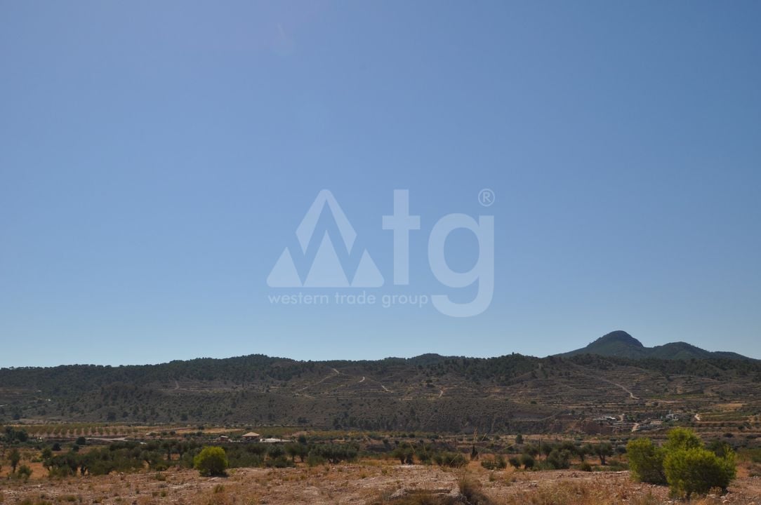 Terrain de  à Murcia- SIP150397 - Photo - 14