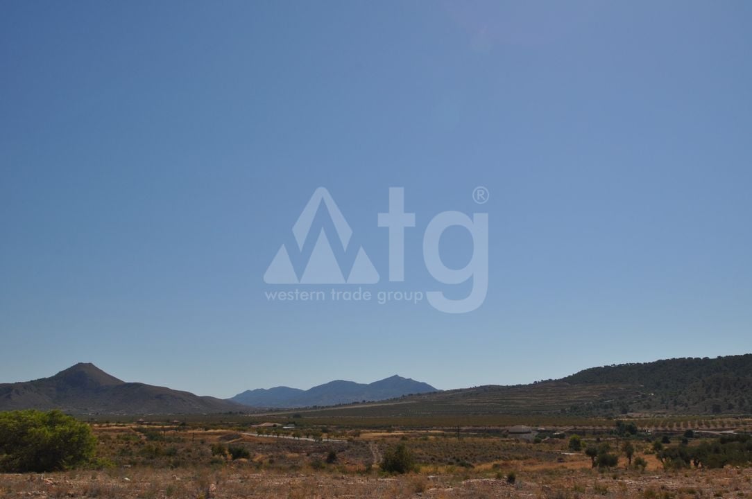 Terrain de  à Murcia- SIP150397 - Photo - 15