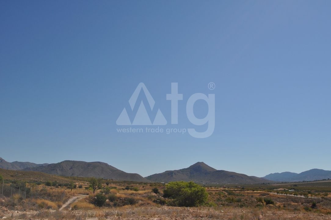 Terrain de  à Murcia- SIP150397 - Photo - 16
